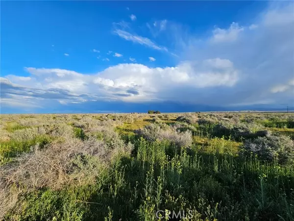 Rosamond, CA 93560,359 35931505005