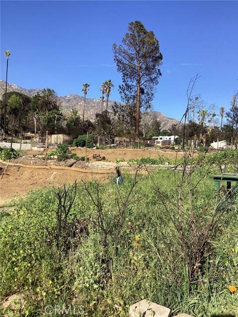 Altadena, CA 91001,305 W Las Flores Drive
