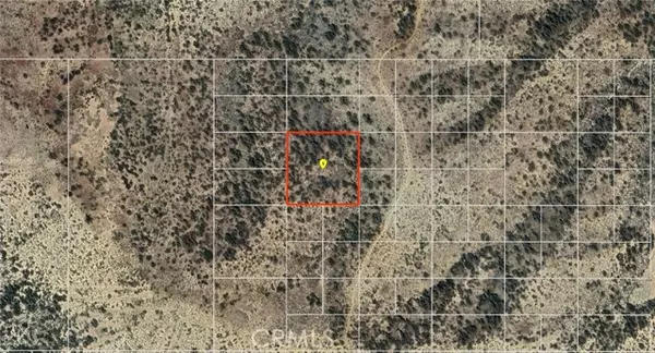 Pinon Hills, CA 92372,0 APN# 3036-271-16-0000