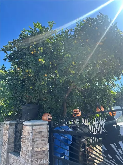 Los Angeles, CA 90003,222 W 87th