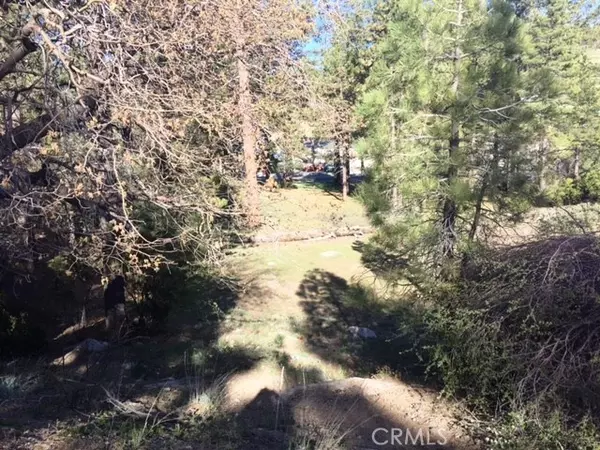 Big Bear City, CA 92315,0 Talmadge