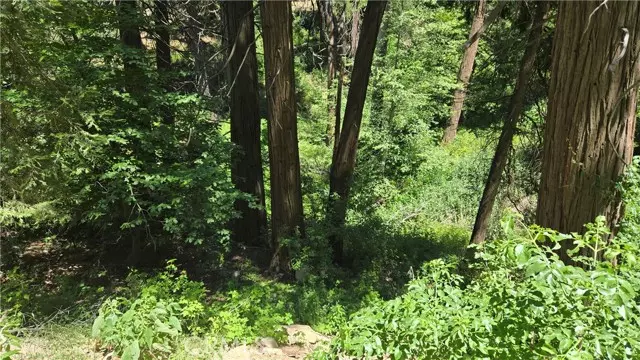 Cedarpines Park, CA 92322,0 Burnt Mill Canyon Rd