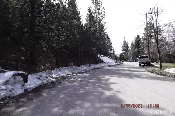 0 Spruce, Angelus Oaks, CA 92305