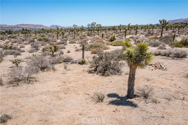 Yucca Valley, CA 92284,58280 Twentynine Palms Hwy