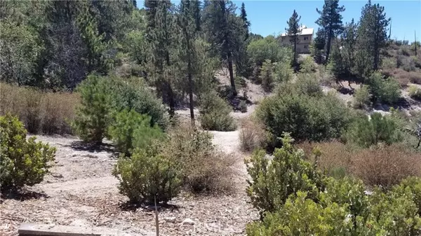 Green Valley Lake, CA 92341,150 Trail End Road