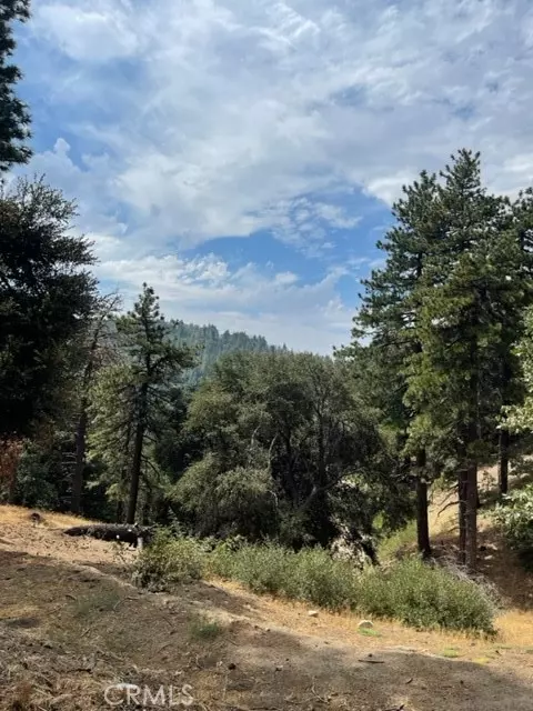 0 Cochran Rd, Cedarpines Park, CA 92391