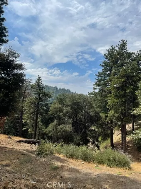 Cedarpines Park, CA 92391,0 Cochran Rd