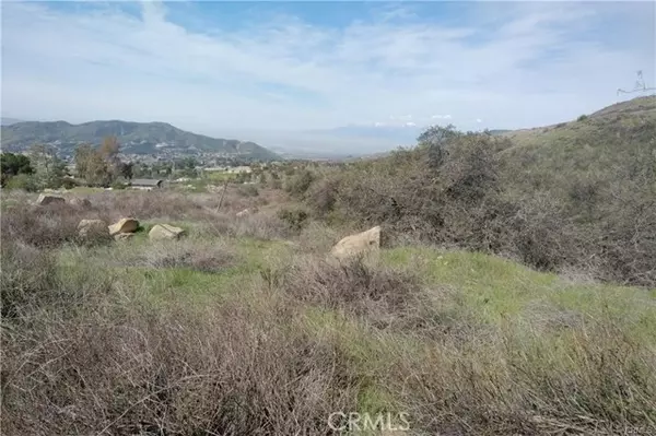 Yucaipa, CA 92399,0 Ivy