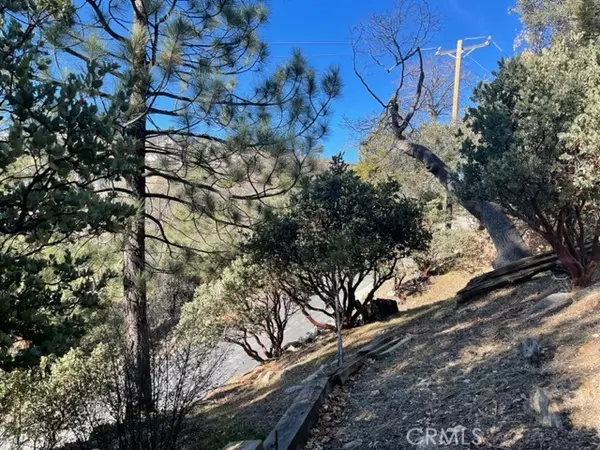 Lake Arrowhead, CA 92352,0 Sandalwood Drive