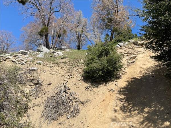 147 Lot 147 Edelweiss Drive, Crestline, CA 92325