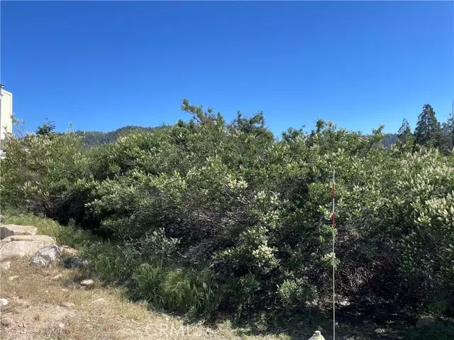 Cedar Glen, CA 92321,17 Lot 17 Lupin Way