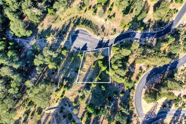 Lake Arrowhead, CA 92352,263 Hidden Forest Road