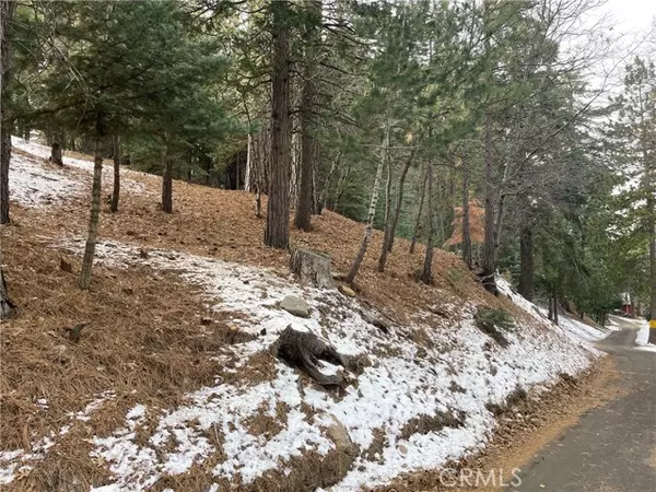 17 Lots 17-19 Mid Lane, Twin Peaks, CA 92391