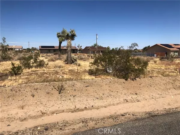 Yucca Valley, CA 92284,0 Pimlico Street