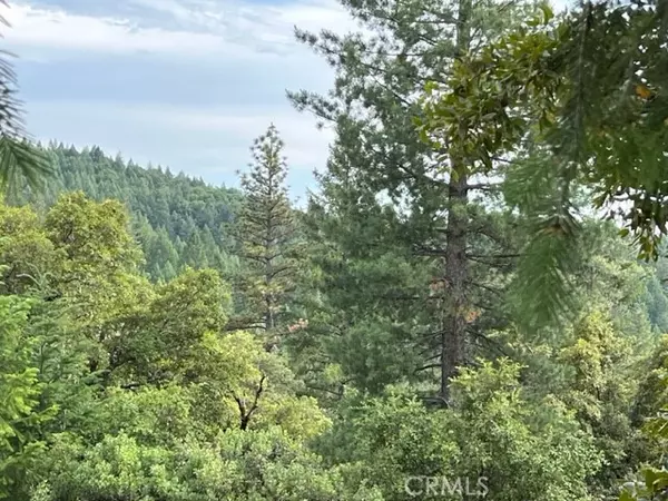 Grass Valley, CA 95945,12444 Manion Canyon Road