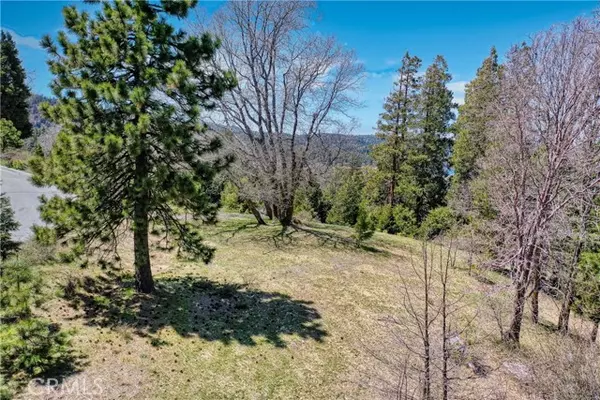 Lake Arrowhead, CA 92352,159 Mill Pond Road