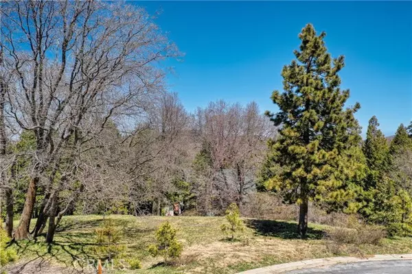 Lake Arrowhead, CA 92352,159 Mill Pond Road