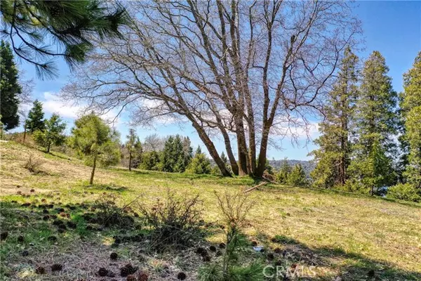 Lake Arrowhead, CA 92352,159 Mill Pond Road