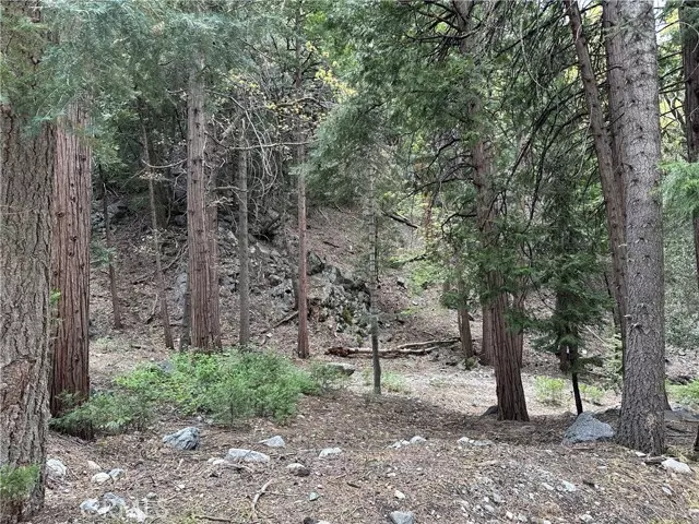 Forest Falls, CA 92339,0 Canyon Drive