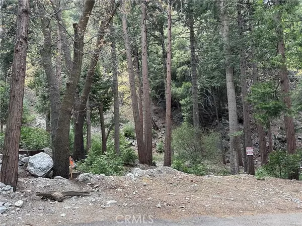 Forest Falls, CA 92339,0 Canyon Drive