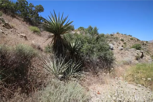 Morongo Valley, CA 92256,37 Lot 37 Samel Road