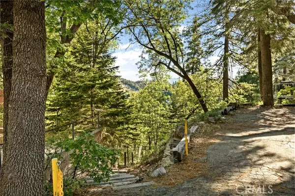 Lake Arrowhead, CA 92352,28991 Palisades Drive