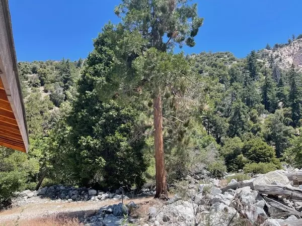 Forest Falls, CA 92339,41489 Island Drive