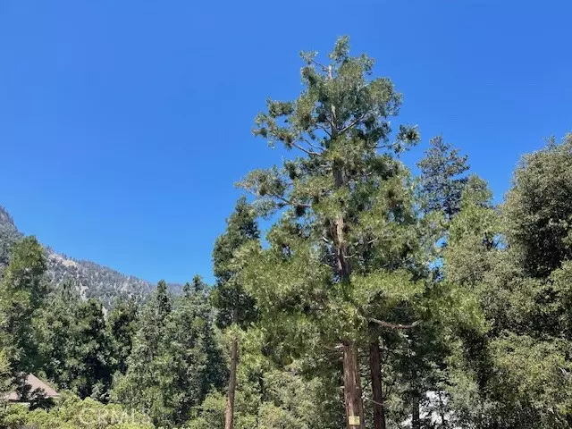 Forest Falls, CA 92339,41489 Island Drive