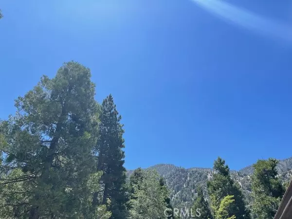 Forest Falls, CA 92339,41489 Island Drive