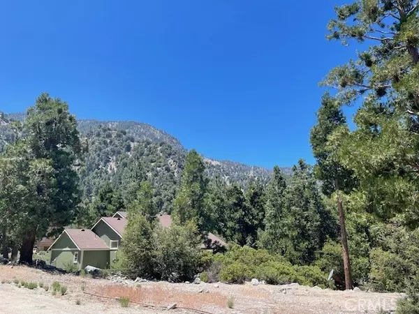 9311 Creek Court, Forest Falls, CA 92339