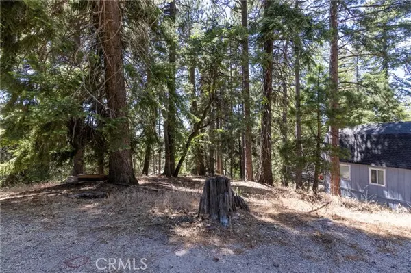 Running Springs, CA 92382,0 Ferndale