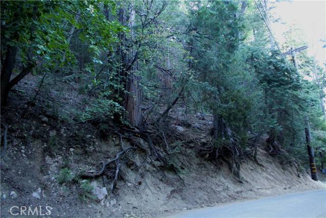 0 Community, Lake Arrowhead, CA 92352