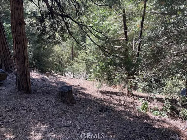 Crestline, CA 92325,150 Lot 150 Berne Drive