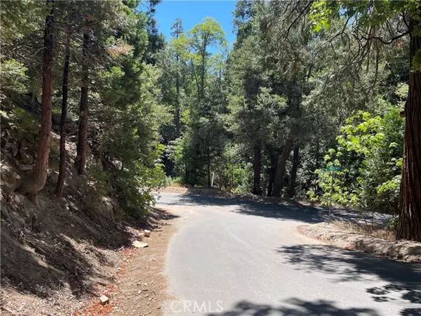 Crestline, CA 92325,150 Lot 150 Berne Drive