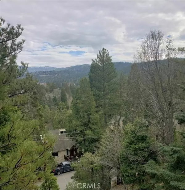 Lake Arrowhead, CA 92352,298 Birchwood Drive