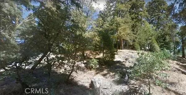 Cedarpines Park, CA 92322,0 Fir Street