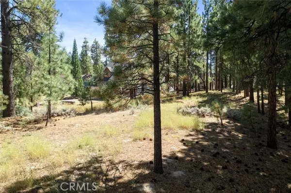 Big Bear Lake, CA 92315,0 Forest Road