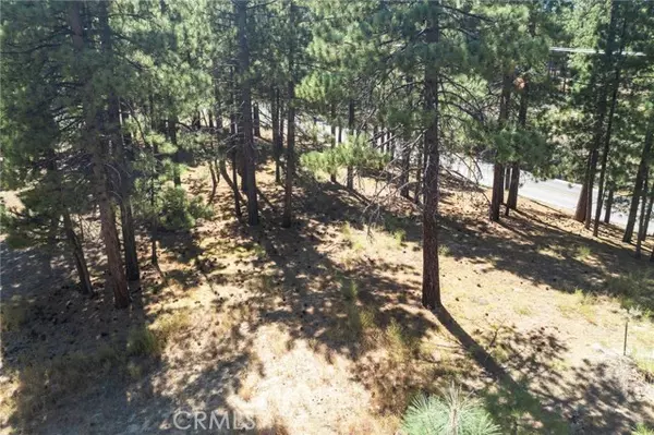 Big Bear Lake, CA 92315,0 Forest Road