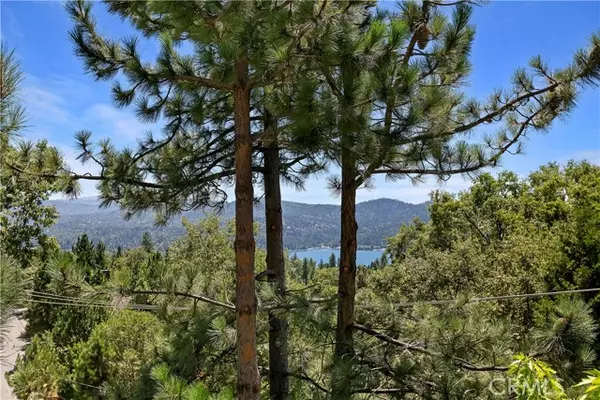 Lake Arrowhead, CA 92352,27696 St Bernard Lane