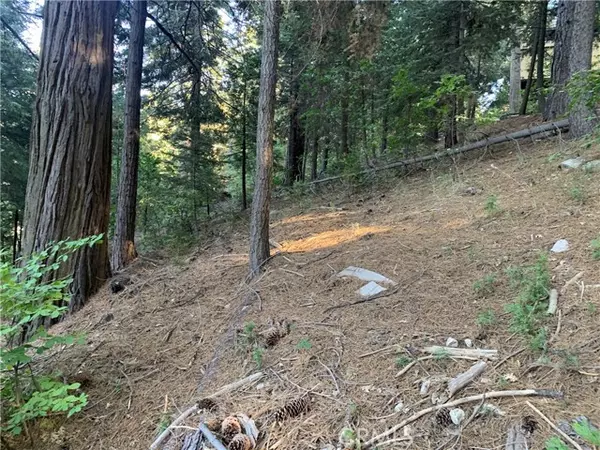 Twin Peaks, CA 92391,0 Lake Forest Drive