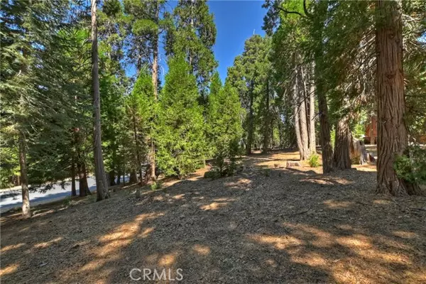 Lake Arrowhead, CA 92352,388 Cedar Ridge Drive