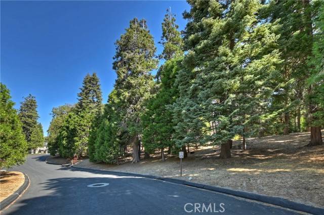 388 Cedar Ridge Drive, Lake Arrowhead, CA 92352