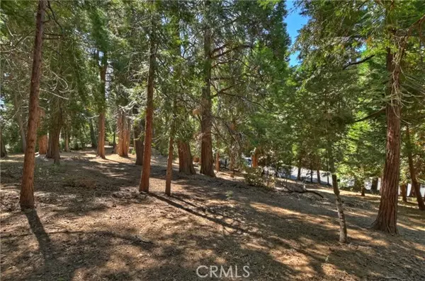 Lake Arrowhead, CA 92352,388 Cedar Ridge Drive