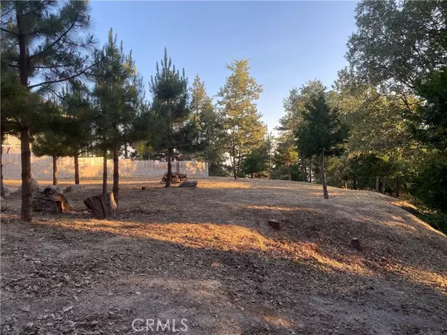 30058 Magic Drive, Running Springs, CA 92382