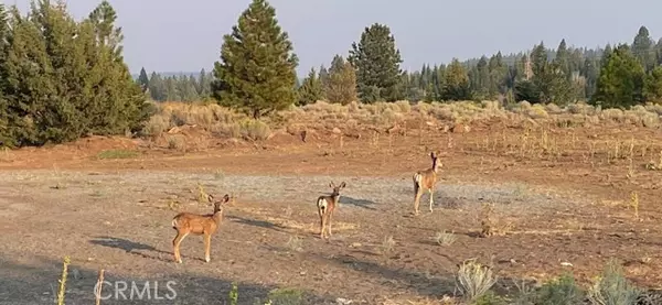 Alturas, CA 96101,10 Basin and Helms Road