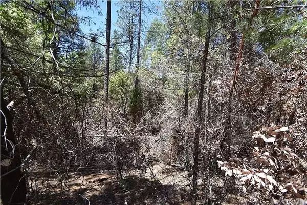 0 Galen Ridge, Berry Creek, CA 95916