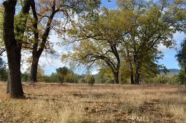 North Fork, CA 93643,2 Sneezeweed Lane