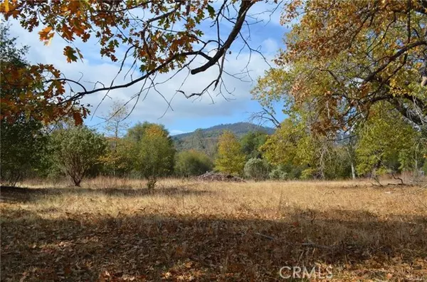 North Fork, CA 93643,2 Sneezeweed Lane