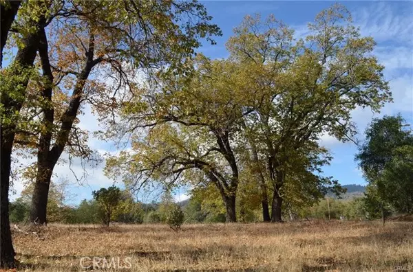 North Fork, CA 93643,2 Sneezeweed Lane