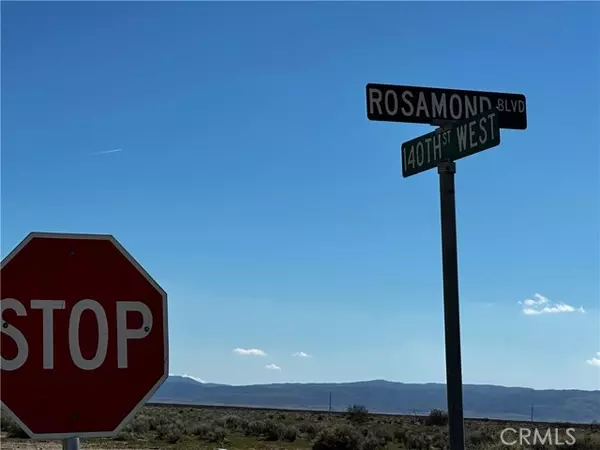 Rosamond, CA 93560,2 .5 Acre Lot